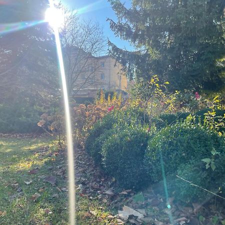 Роксолана Bed & Breakfast Truskavets Dış mekan fotoğraf