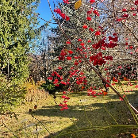 Роксолана Bed & Breakfast Truskavets Dış mekan fotoğraf