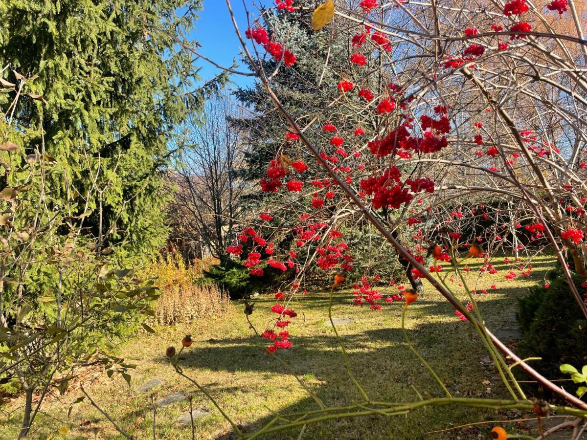 Роксолана Bed & Breakfast Truskavets Dış mekan fotoğraf